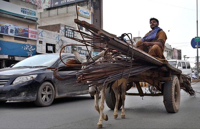 A donkey cart on the way with over loaded iron bars at College road