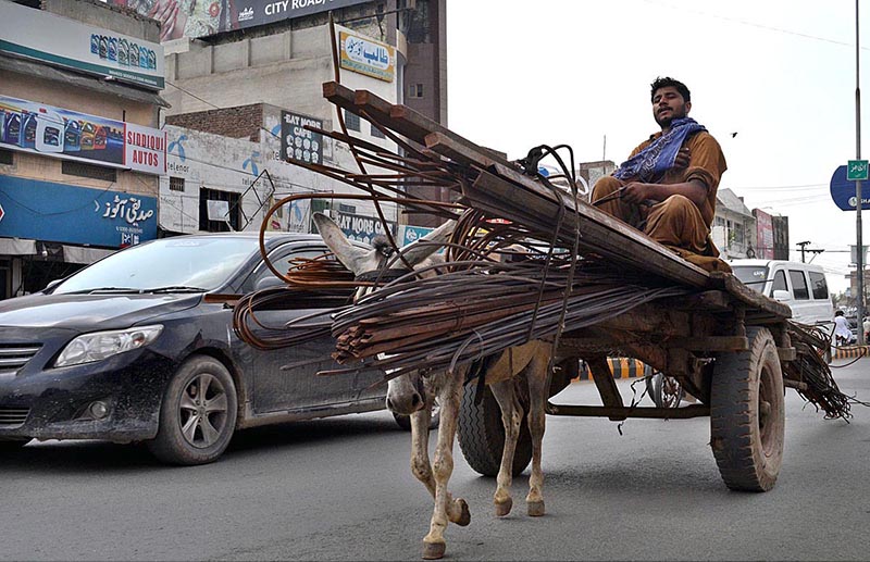 A donkey cart on the way with over loaded iron bars at College road
