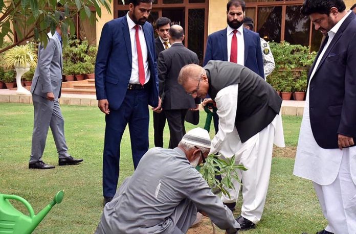 President Dr Arif Alvi planting a mango sapling at Governor House