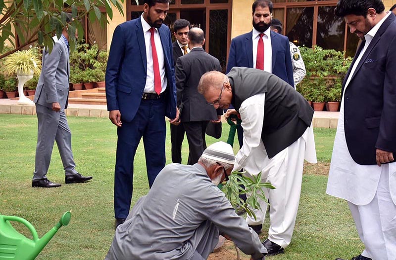 President Dr Arif Alvi planting a mango sapling at Governor House