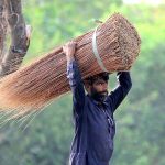 A person on his way while carrying dry tree branches on head to prepare the handmade baskets