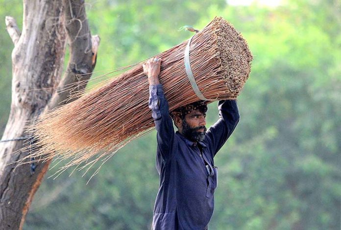 A person on his way while carrying dry tree branches on head to prepare the handmade baskets