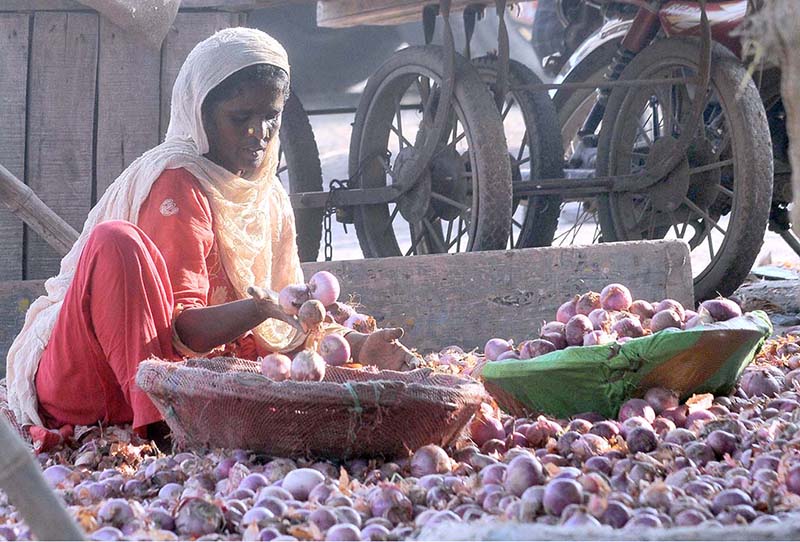 A woman sorting good quality onions at Vegetable Market to earn livelihood.