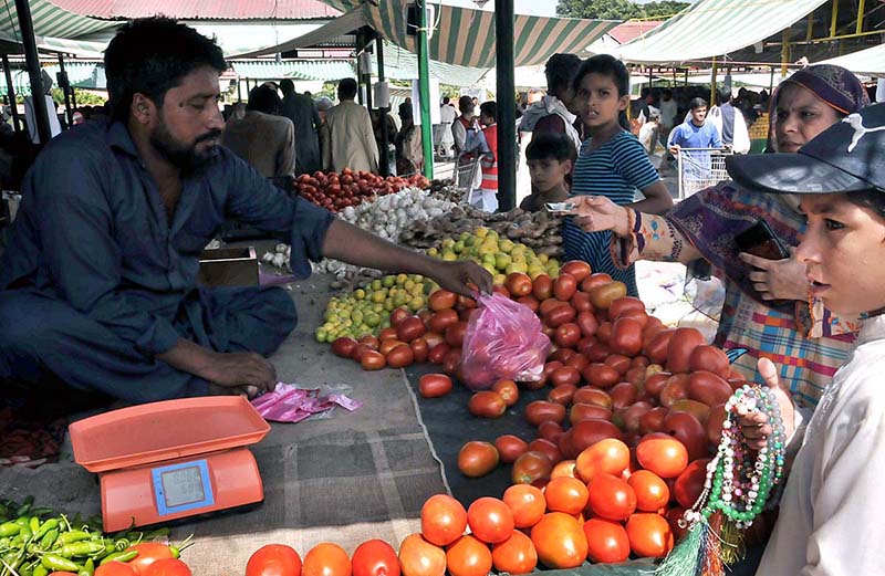 People busy in purchasing vegetables from vendor at Sunday Bazaar in Federal Capital