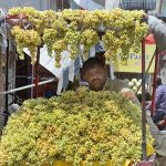 Vendor displaying Grapes to attract customers at MDA Chowk