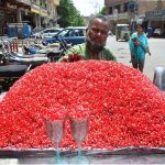 A handcart vendor displaying pomegranate to attract the customers at Court road