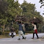 A family carrying dry wood on their head for domestic use.