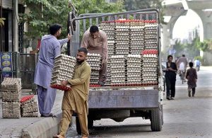 Labourer busy unloading crates of eggs from the delivery van at Hafiz Jamal Road