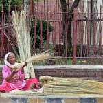 An elder woman busy preparing and displaying Brooms to attract customers at a roadside setup