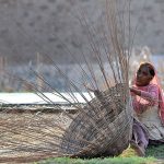 A woman preparing a basket with dry branches of a tree to sell for livelihood