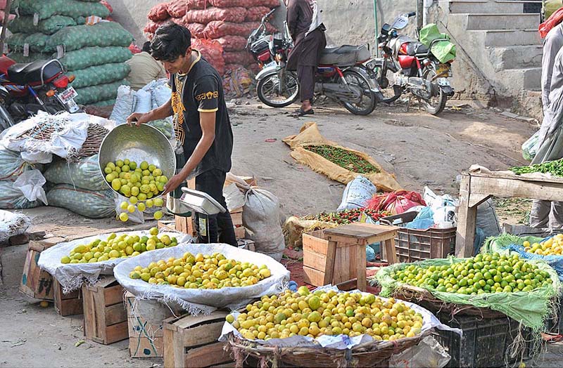 A vendor busy displaying lemons to attract customers at his roadside setup.