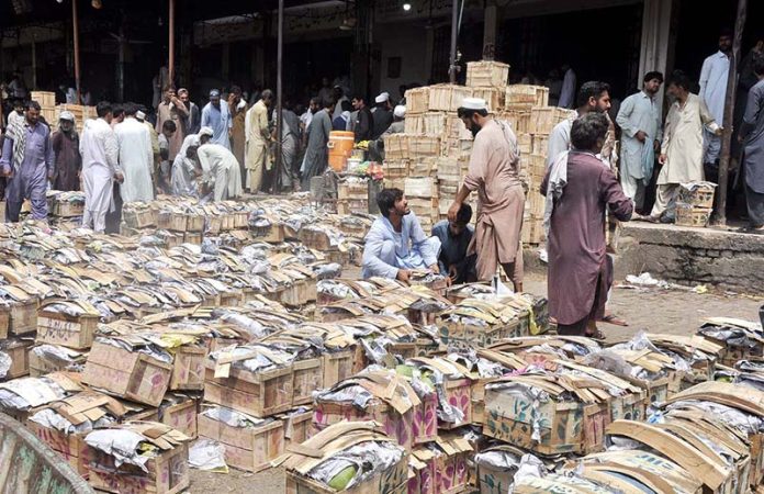 Labourers display fruit boxes at Fruit and Vegetable Markets