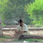 A man preparing a basket with dry branches of tree to sell for livelihood.