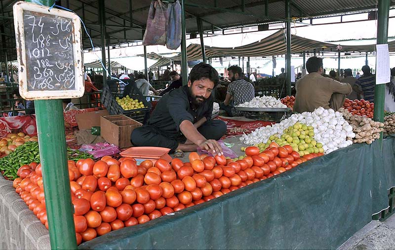 A vendor selling vegetables on his stall at Sunday bazaar Abpara Market
