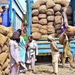 Labourers busy in unloading potatoes bags on the delivery track at vegetables market