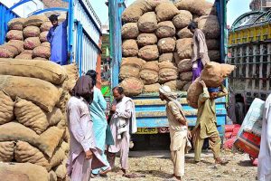 Labourers busy in unloading potatoes bags on the delivery track at vegetables market