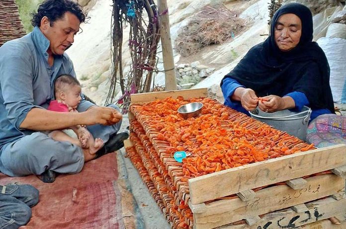 A couple arranging and placing apricot on a traditional wooden tray for drying purpose as a stock for winter and selling in markets.