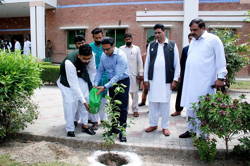 Deputy Commissioner Zaheer Anwar Jappa, Manager E-Service Center are planting saplings on the occasion of the ceremony organized in connection with the Independence Day