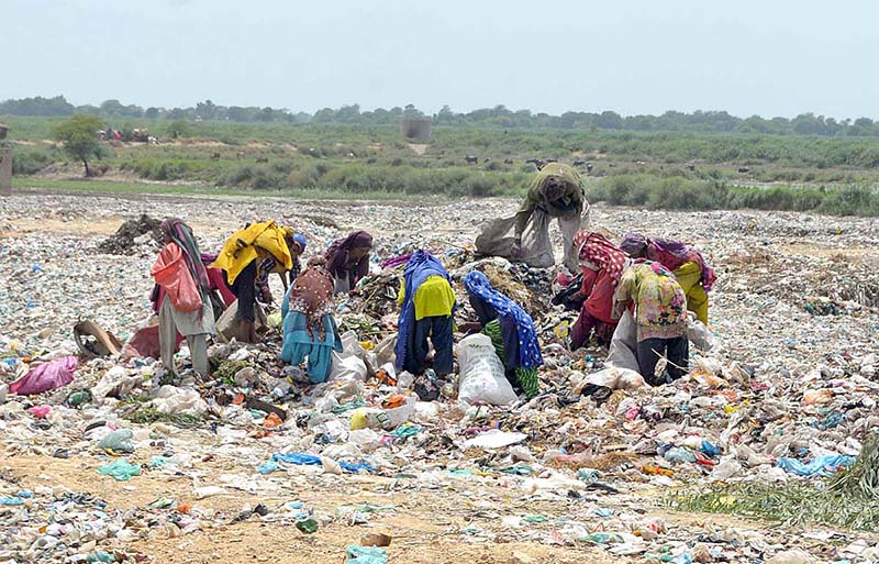 Gypsies searching valuable items at heap of garbage at Latifabad