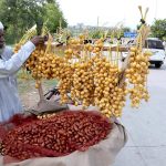 A vendor displays Dates to attract the customers at his roadside setup at Police Line Road