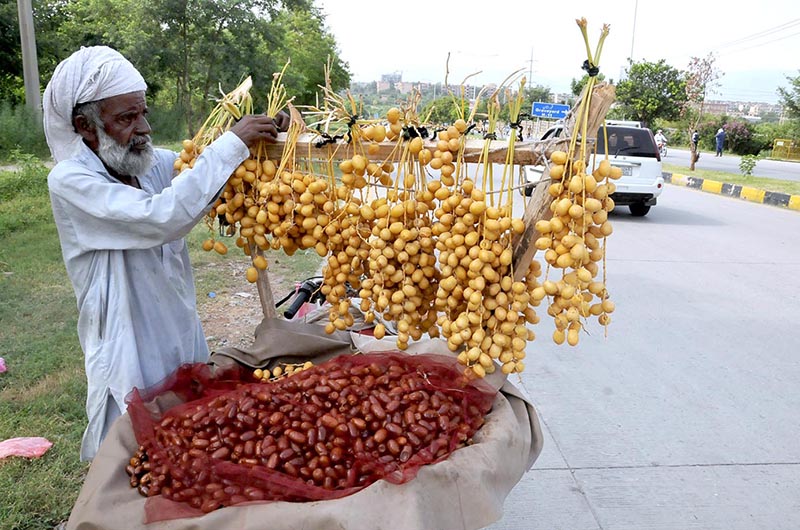 A vendor displays Dates to attract the customers at his roadside setup at Police Line Road