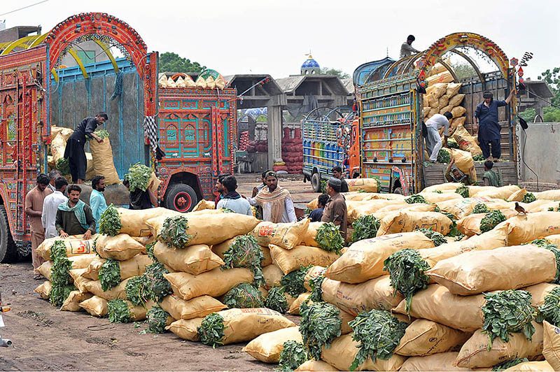 Labourers offloading sacks of vegetables from delivery truck at vegetable market
