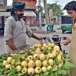 A vendor selling seasonal fruit on his bicycle at Azadi Chowk