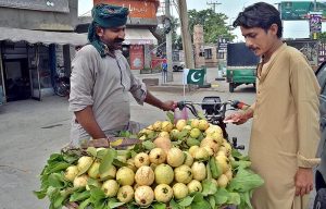 A vendor selling seasonal fruit on his bicycle at Azadi Chowk