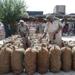 Laborers busy marking sacks of traditional sweet item Gur at Gur Mandi