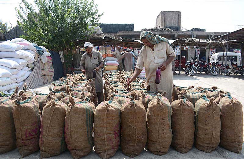 Laborers busy marking sacks of traditional sweet item Gur at Gur Mandi