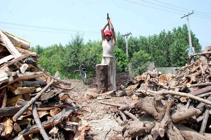 Laborer is cutting firewood into pieces at his workplace near Charsadda Road