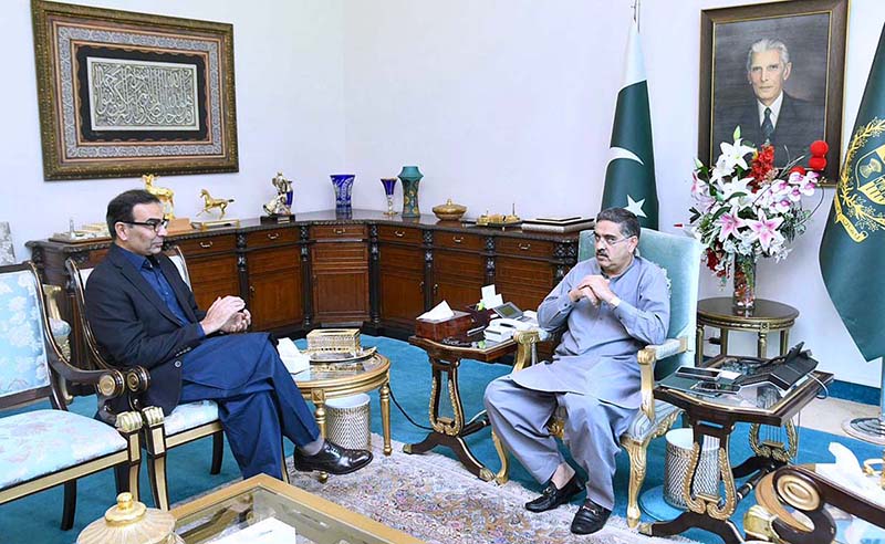 Minister for Energy, Power and Petroleum Muhammad Ali calls on Caretaker Prime Minister Anwaar-ul-Haq Kakar