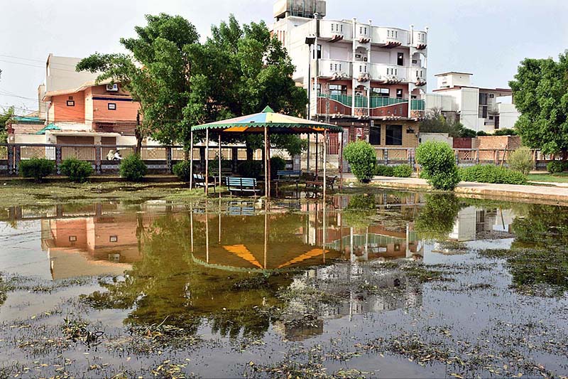 A view of stagnant rain water accumulated in Sachal Colony Park