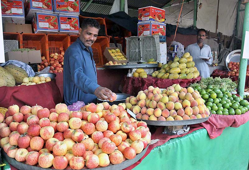 A vendor arranging and displaying Fruits to attract the customers at weekly bazaar, Peshawar Morr