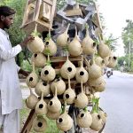 A vendor arranging and displaying bird’s nests and wooden base stand for refrigerator on his bicycle to attract the customers in Federal Capital