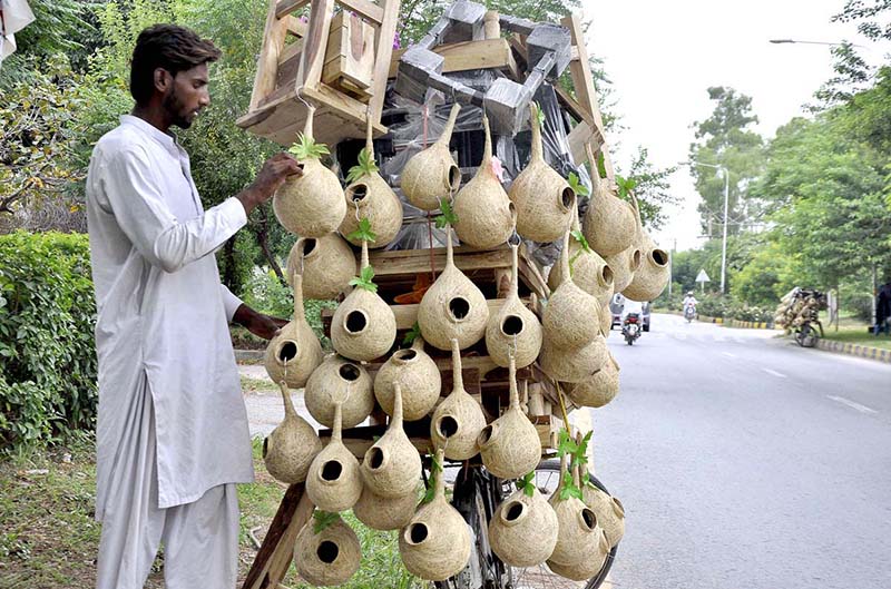 A vendor arranging and displaying bird’s nests and wooden base stand for refrigerator on his bicycle to attract the customers in Federal Capital