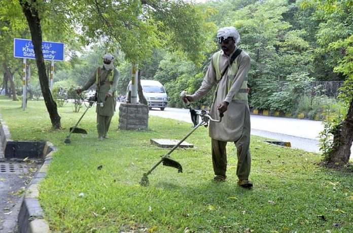 CDA worker trimming grass at greenbelt during beautification work of the city