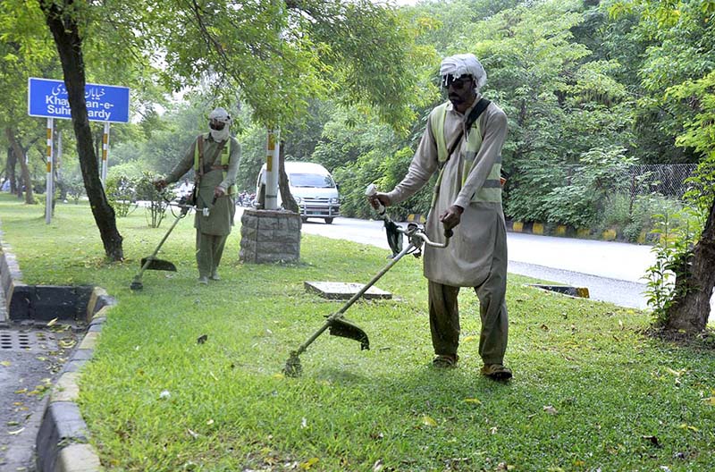 CDA worker trimming grass at greenbelt during beautification work of the city