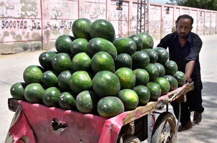A vender displaying watermelons to attract the customers at his push cart setup at Old Bus Stand Road