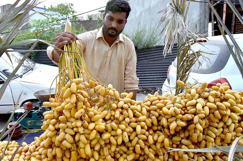 A vendor selling dates at his road side setup