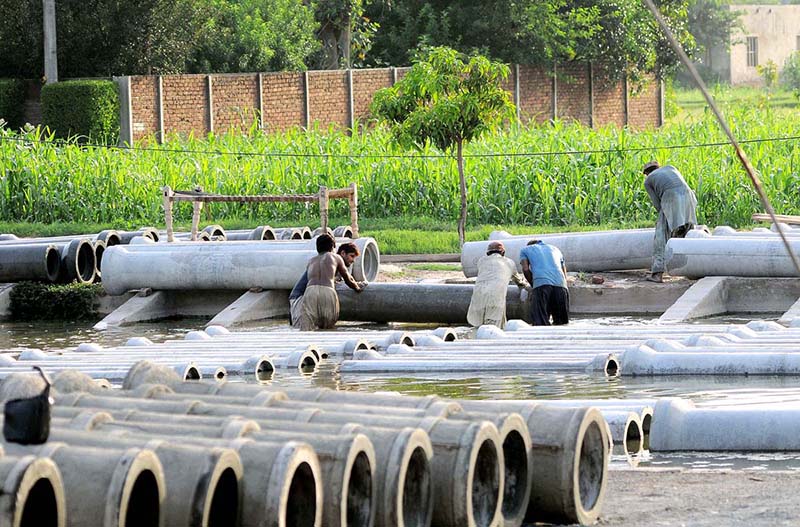 Labourers took out cement sewage pipes from water for drying purposes at their workplace