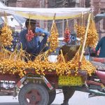 Vendor displaying and arranging fresh dates to attract customers at his roadside setup