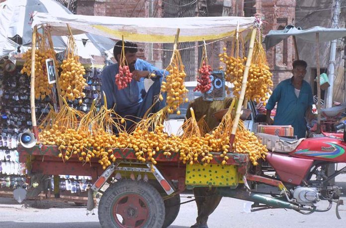 Vendor displaying and arranging fresh dates to attract customers at his roadside setup Vendor displaying and arranging fresh dates to attract customers at his roadside setup