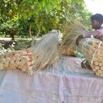 Gypsy youngster displaying brooms for sale near Piran Ghaib