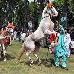 The horsemen are performing horse dance on the occasion of 77th Independence Day celebration at Commissioner Complex