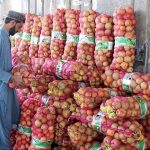 Customer purchasing apples from a roadside vendor