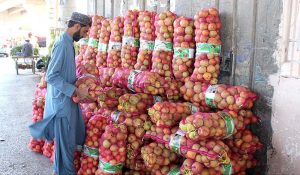 Customer purchasing apples from a roadside vendor
