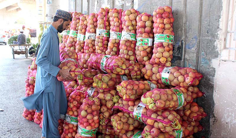 Customer purchasing apples from a roadside vendor