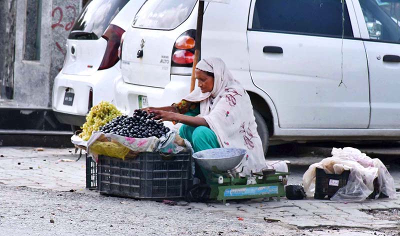 An elder woman selling fruit at his roadside setup