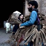 A vendor selling peel of tree (Dandasa) near Dehli Gate, it is used as the traditional teeth cleaner